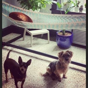 Meet your Posher, Elizabeth